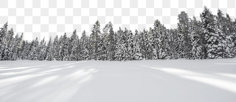 Snow forest png border sticker, | Free PNG - rawpixel