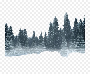 Snow Forest Winter - forest 