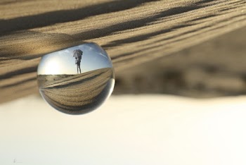 Snow Globe on Brown Sand
