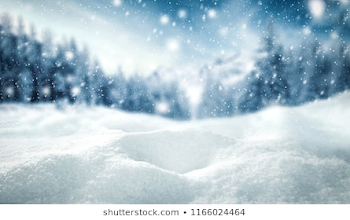 Snow Images, Stock Photos & Vectors | Shutterstock