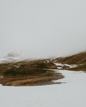 Snow Landscapes