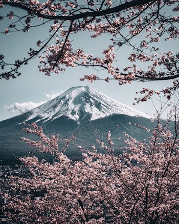 Snow Mountain