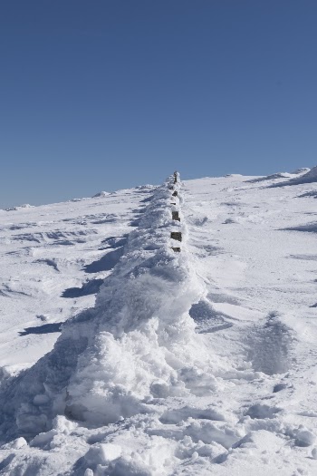 Snow on Mountain
