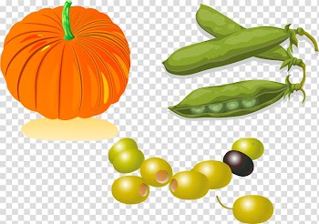 Snow pea Edamame Vegetarian cuisine Bean, Pumpkin beans material transparent background PNG clipart