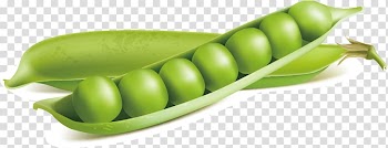 Snow pea Euclidean illustration Vegetable, Peas material transparent background PNG clipart