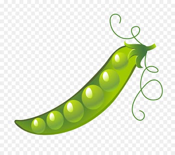Snow pea Green bean Vegetable Image - grado 