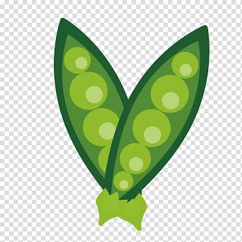 Snow pea Vegetable, snow peas transparent background PNG clipart