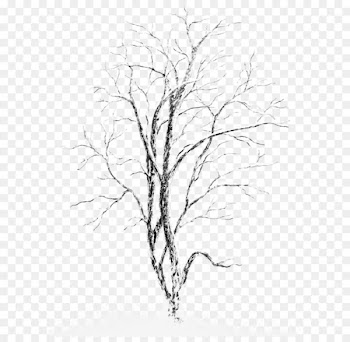 Snow Tree Stock photography - Winter Snowy Tree PNG Picture 