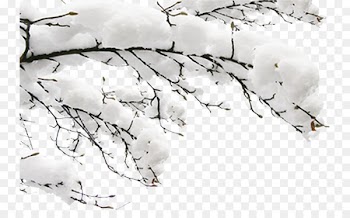 Snow Winter Fundal - Snow branches 