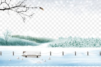 Snow Winter Photography - Snow winter landscape 