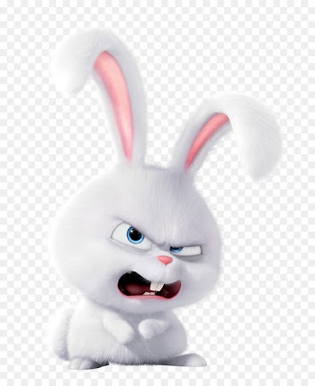 Snowball Domestic rabbit Dog Pet - elephant rabbit 