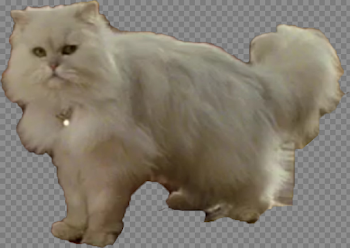 Snowbell | Stuart Little Wiki | FANDOM powered by Wikia