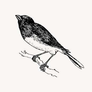 Snowbird clipart, drawing illustration vector. | Free Vector Illustration - rawpixel