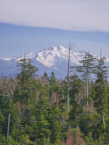 Snowcapped Mountains