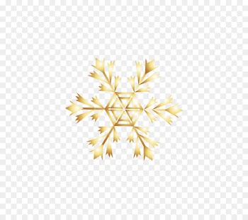 Snowflake Download Computer file - Golden snowflakes 