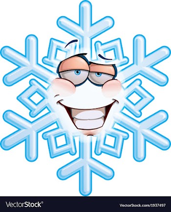  					SnowFlake Emoticon Smug vector image														