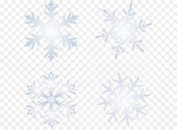 Snowflake Euclidean vector - Snow vector snow 