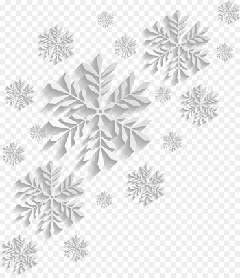 Snowflake schema Vector graphics Image - resources free 