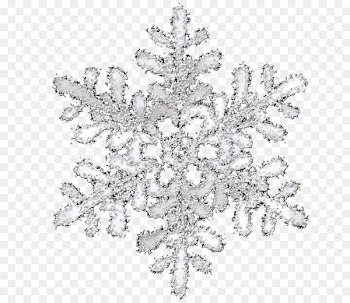 Snowflake Transparency and translucency Icon - White transparent snowflake pattern 