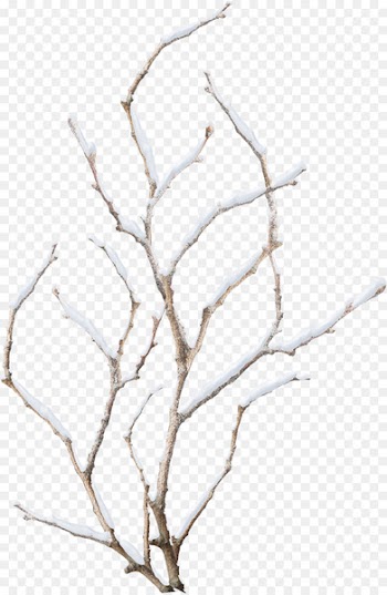 Snowflake Winter Branch - Snow branch 