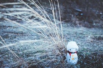 Snowman Near Grassa