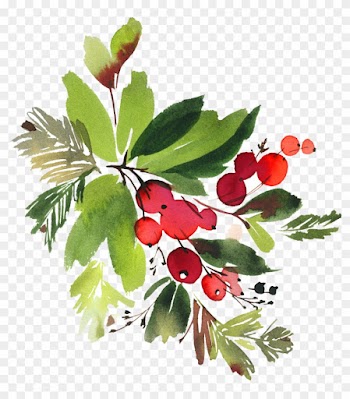 Snowman Watercolor Flowers Png - Christmas Holly Watercolour Clipart