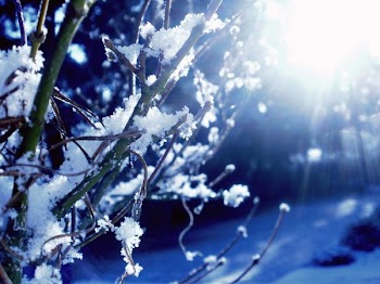 snowsun.jpg