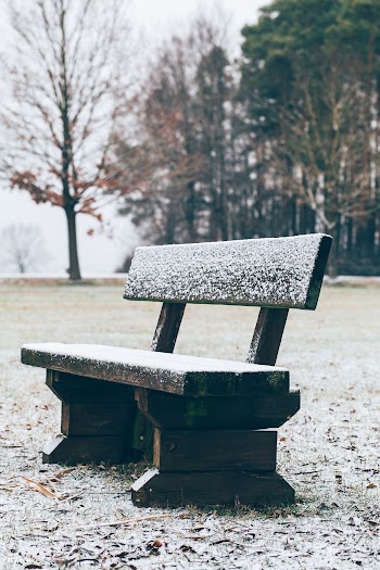 Snowy bench | Free public domain photo - 600056