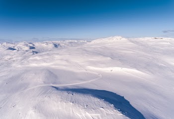Snowy Field Under Blue Sky