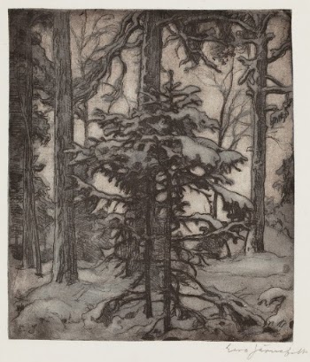 Snowy forest, 1900 - 1937, | Free Photo - rawpixel