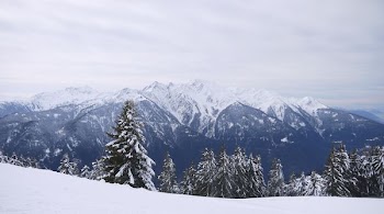 snowy forest and mountains under cloudy sky during daytime