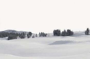 Snowy forest border, winter nature | Free PSD - rawpixel