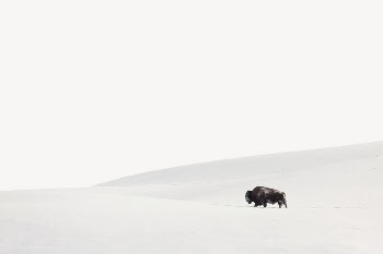 Snowy hill landscape border, nature | Free PSD - rawpixel
