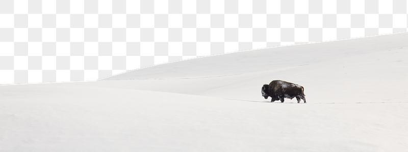 Snowy hill png landscape border, | Free PNG - rawpixel