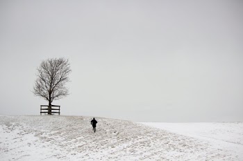 Snowy Hillside Man And Tree