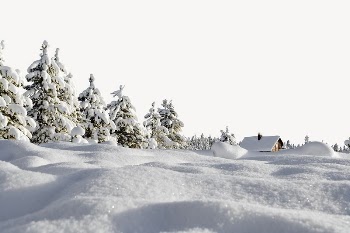 Snowy land border, pine forest | Free PSD - rawpixel