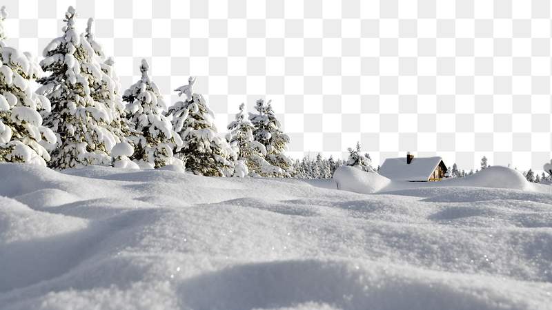Snowy land png border, pine | Free PNG - rawpixel