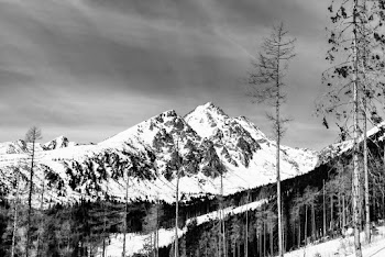 Snowy Mountain View in Monochrome Photo