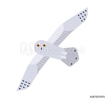 Snowy Owl flat vector illustration