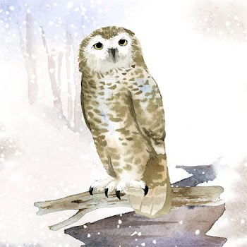 Snowy owl in winter watercolor style vector | Free stock vector - 489550