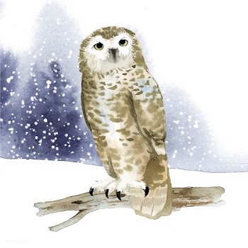 Snowy owl in winter watercolor style vector | Free stock vector - 489625