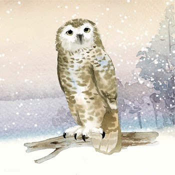 Snowy owl in winter watercolor style vector | Free stock vector - 489689