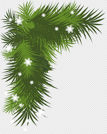 Snowy Pine Branch PNG Picture | Gallery Yopriceville - High ...