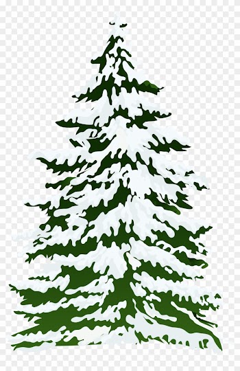 Snowy Tree Clip Art - Snow Pine Tree Png