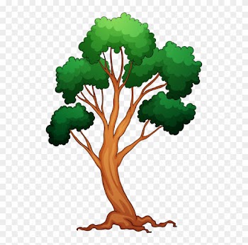 Яндекс - Фотки - So Many Trees To Color Coloring Book