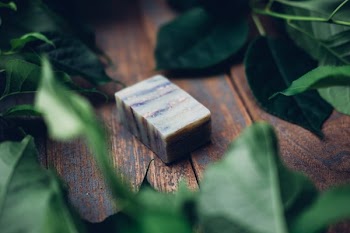 Soap Bar In Leaves