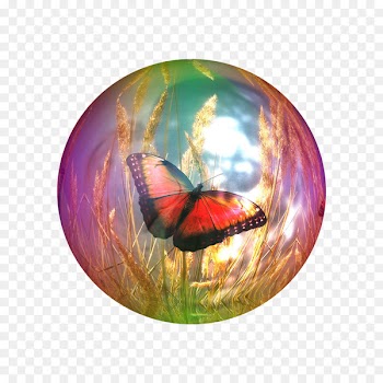 Soap bubble - Soap bubbles in butterfly 