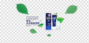 Soap Viburnum macrocephalum f. keteleeri, Wu Qionghua dazzle bright white toothpaste transparent background PNG clipart