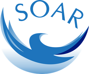 Soarcoin Logo Vector