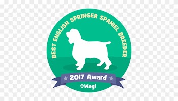 Soaring English Springer Spaniels Best English Springer - Words That Describe You